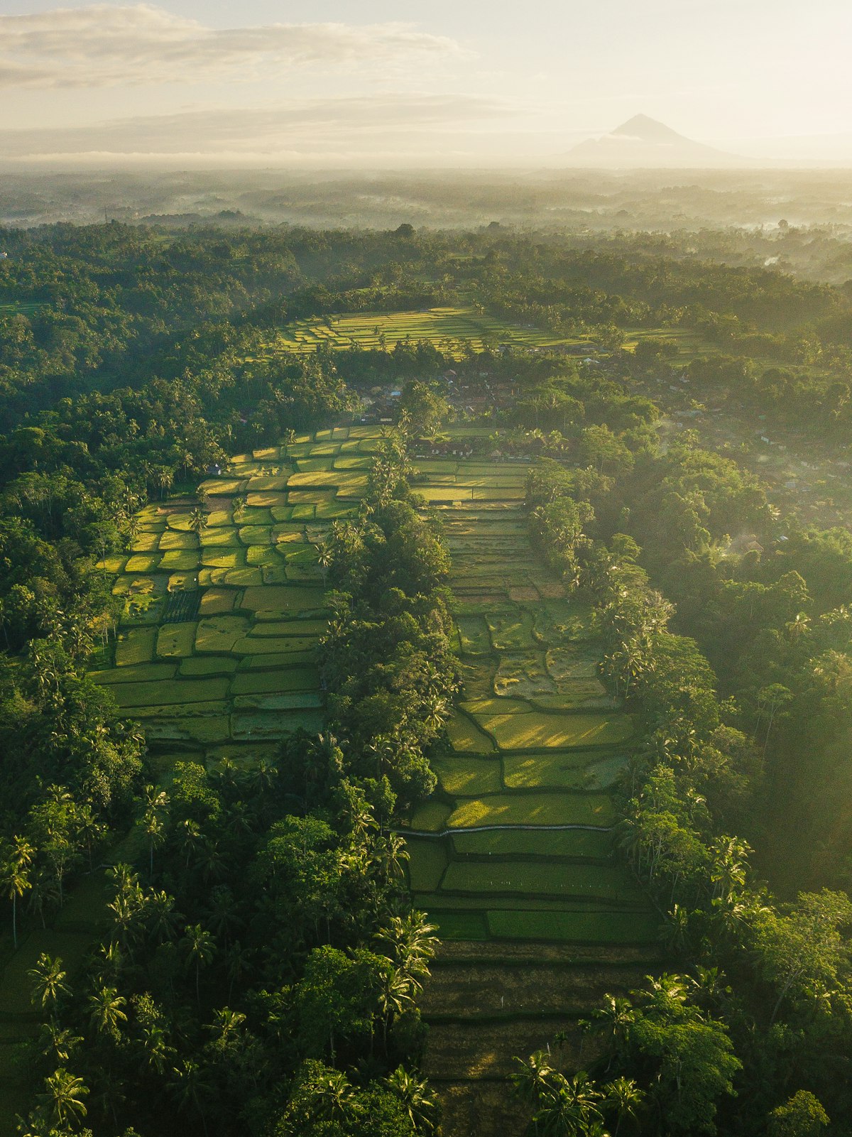 Aerial view of Siargao Island coastline